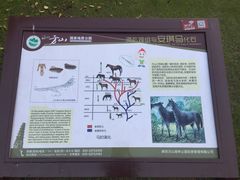 -南京市江宁方山