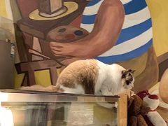 -咖法森林·咖啡  酒吧(天河店)