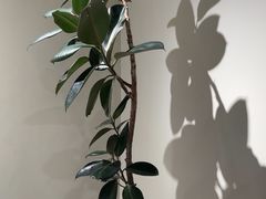-W·24H茶楼·棋牌·掼蛋(望京店)