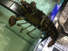 小龙虾-盒马鲜生(新都心店)