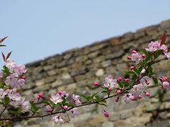 -南京城墙景区