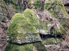 -山王坪喀斯特国家生态公园
