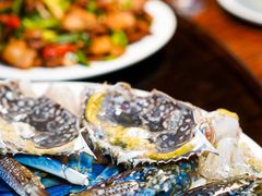 -凯华海鲜火锅·传承三十六年