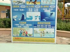 -秦皇岛乐岛海洋王国