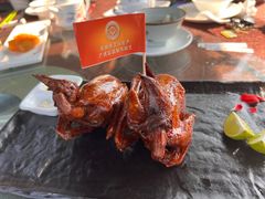 -侨美·唐荔园·40年地道粤菜