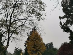 -杭州植物园