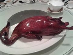 东海海鲜酒家(中信店)-東海海鲜酒家(中信广场店)