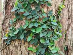 -浙江大学(玉泉校区)