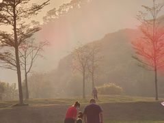 -风云岭森林公园
