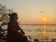 -宝安西湾红树林湿地公园