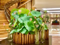 -西安赛瑞喜来登大酒店