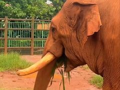 -昆明动物园