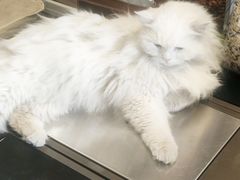 -小时光咖啡馆(开森度假森林店)