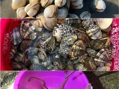 -巧克力渔家.小船海鲜家常菜(万平口店)