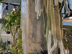-自由生长植物工作室(深港花卉中心店)