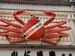 -蟹道乐(道顿堀本店)