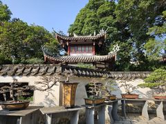 -西湖公园(鼓楼区)