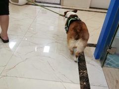 -派特宠物医院(圆融广场店)