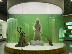 -国家自然博物馆