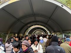 -人民公园-相亲角