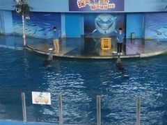 -苏州海洋馆