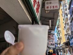 -洪馨椰子