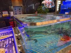 -盛福楼·惠山宴·明档江浙菜
