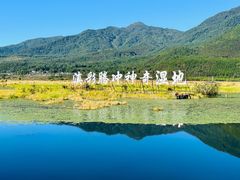 -腾冲北海湿地