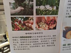 -Sips&Lick茶兰咖啡(五道口店)
