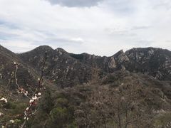-大岭沟猕猴桃谷风景区