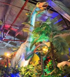 -恐龙探索乐园(磁器口店)