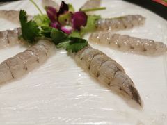 -草鱼先生潮州鱼生·虾生(新厦花园店)