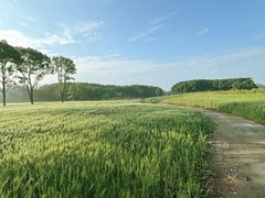 -国际非物质文化遗产博览园