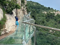 -大芦花风景区