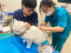 -美迦爱-牙专科·兔科·骨科诊疗中心(北苑店)