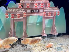 -重庆欢乐海底世界