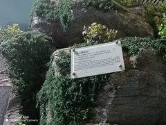 -房山世界地质公园博物馆