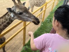 -西霞口神雕山野生动物世界