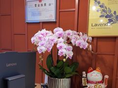 -LANN I 蘭·泰式古法按摩(高岛屋百货店)