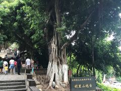 -胡里山炮台