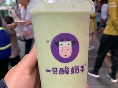 -一只酸奶牛(八一路店)
