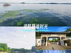 -东湖落雁景区