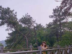 -南京市无想山景区