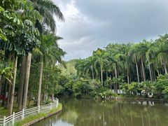 -滴水岩森林公园