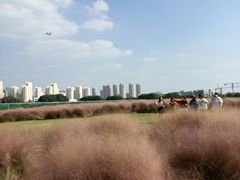 -尚贤河湿地