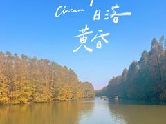 -上海海湾国家森林公园