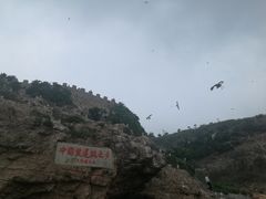 -海驴岛(荣成市)