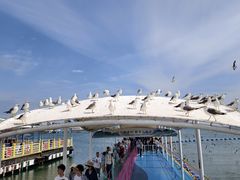 -海驴岛(荣成市)