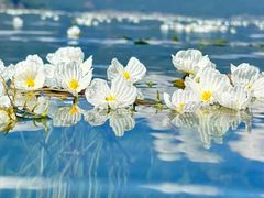 -丽江泸沽湖景区