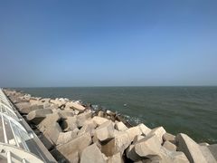 -东堤公园